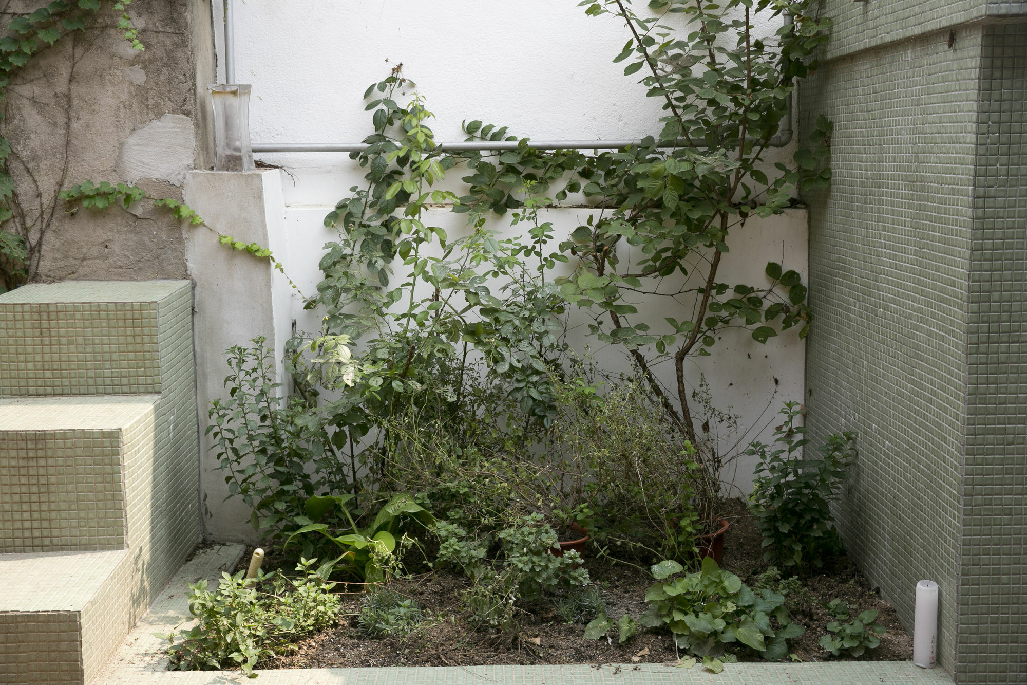 Nuri Hanok Guesthouse Seoul Exterior foto
